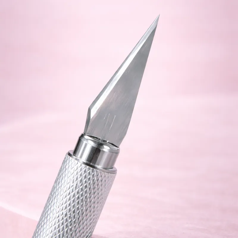 Professional Disposable Scalpels with Blades